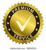 premium expiditing job search services